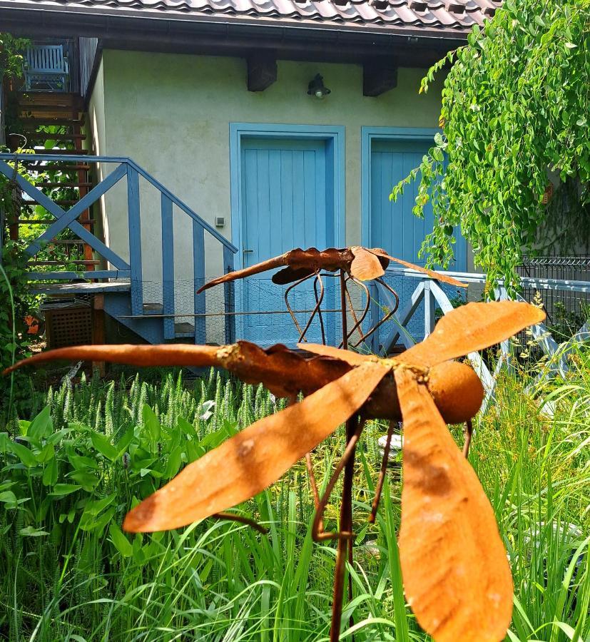 Żywiec Apartament Drozdzikowka מראה חיצוני תמונה