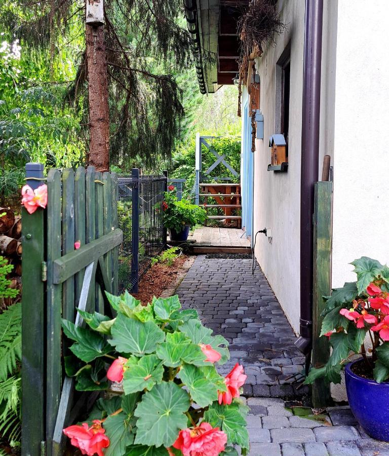 Żywiec Apartament Drozdzikowka מראה חיצוני תמונה