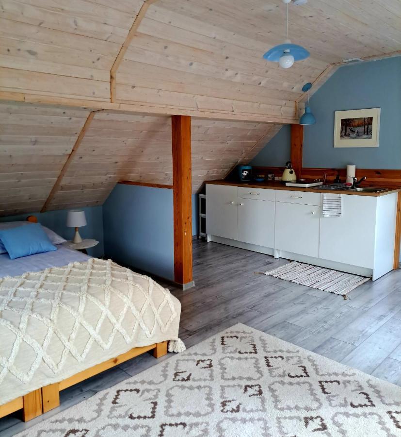 Żywiec Apartament Drozdzikowka מראה חיצוני תמונה