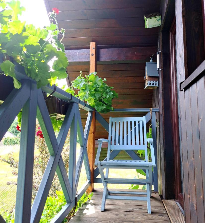 Żywiec Apartament Drozdzikowka מראה חיצוני תמונה