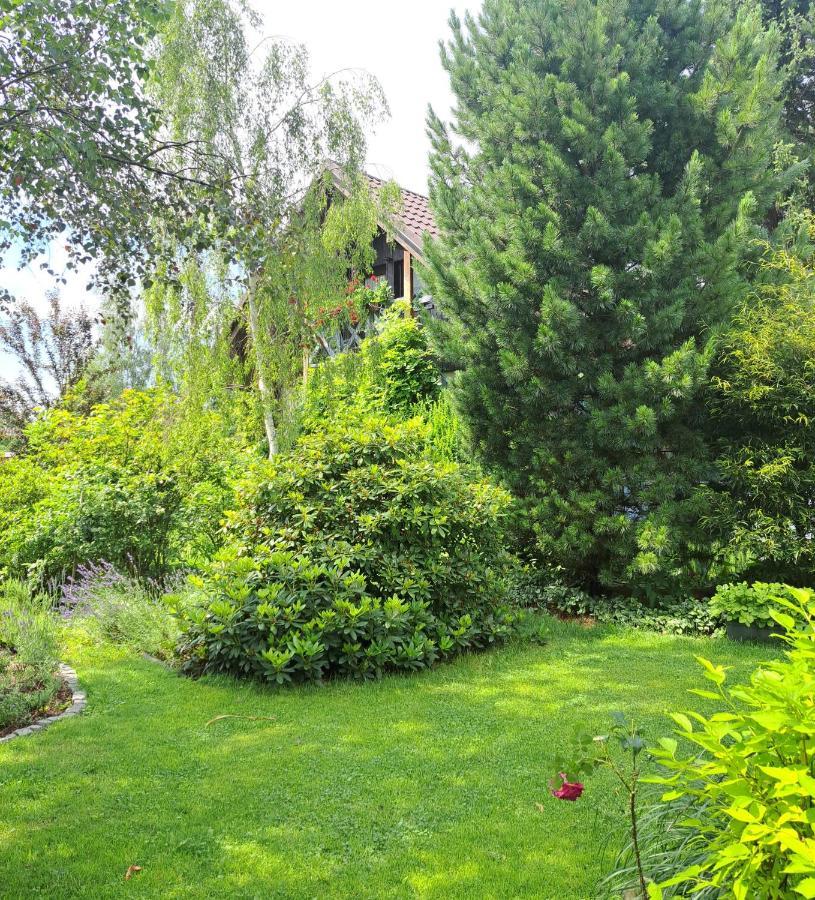Żywiec Apartament Drozdzikowka מראה חיצוני תמונה